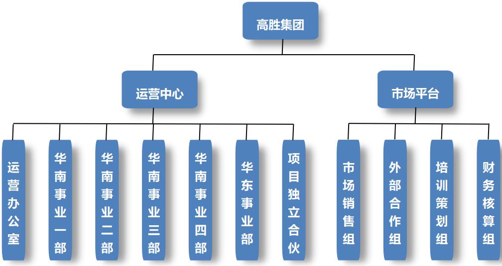 重要發(fā)布！高勝咨詢重新調(diào)整組織架構(gòu) 2020齊頭并進再啟航